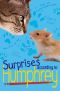 [Humphrey 04] • Surprises According to Humphrey
